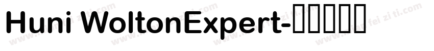 Huni WoltonExpert字体转换